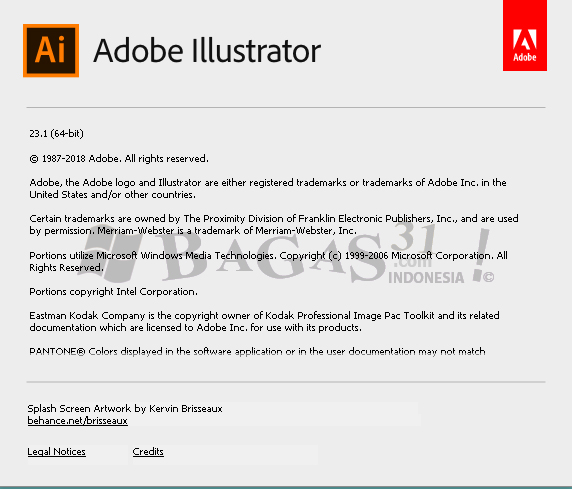 Adobe Illustrator CC 2019 v23.1.0.670 Full Version