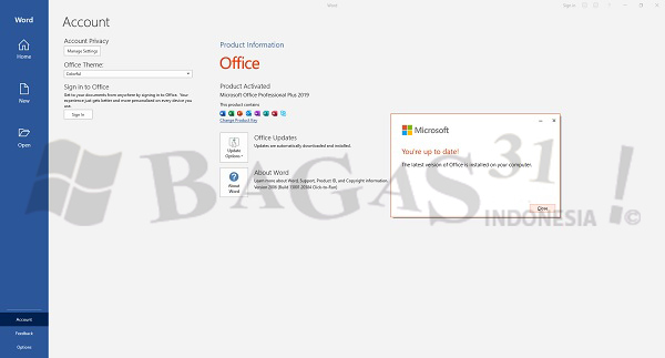Microsoft Office 2019 Pro Plus v2009 Build 13219.20004 Agustus 2020