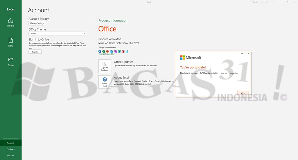 Microsoft Office 2019 Pro Plus v2011 Build 13426.20332 Desember 2020